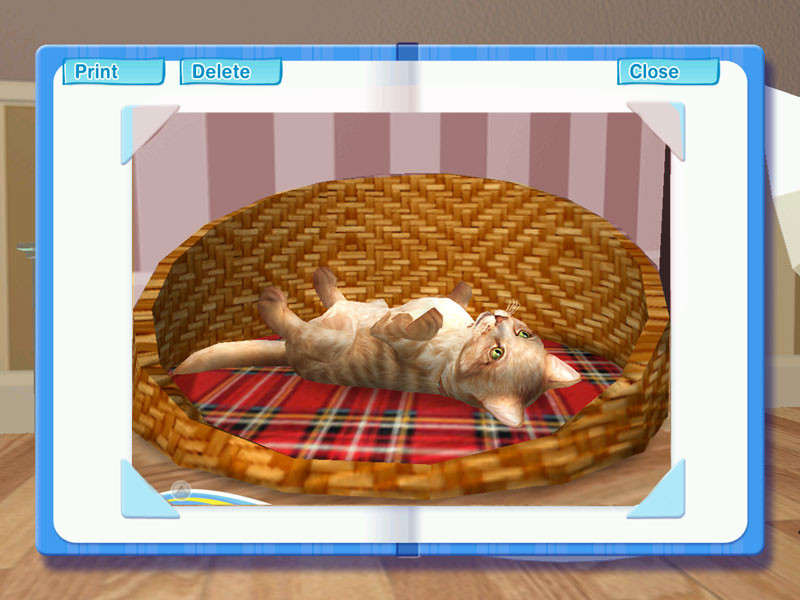 Petz Catz 2 - кадр 3