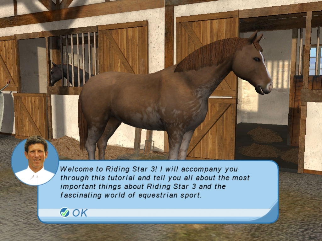 Riding Star 3 - кадр 2