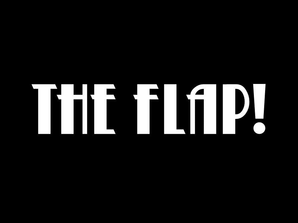 The Flap! (itch) - кадр 1