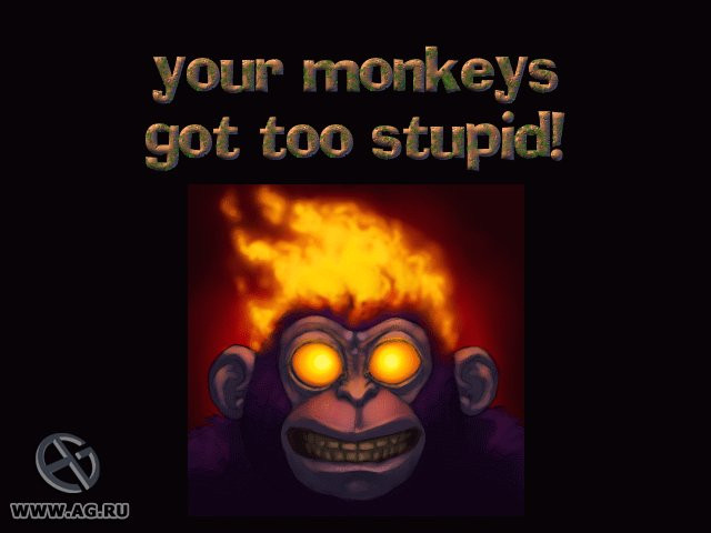 Monkey Brains - кадр 8