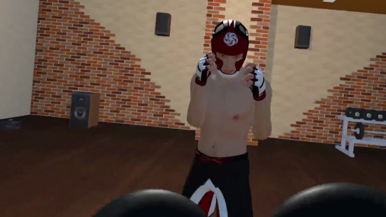 Fight Sparring VR - кадр 3