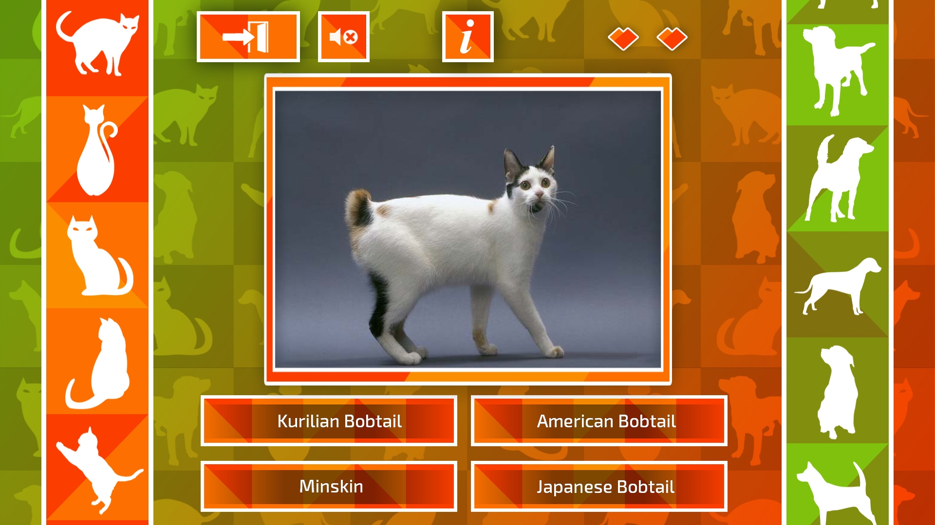 JQ: dogs & cats - кадр 10