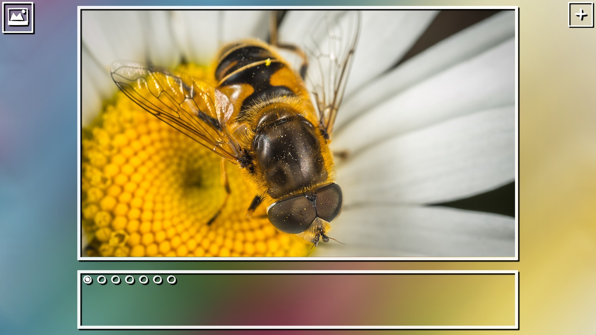 Super Jigsaw Puzzle: Generations - кадр 5