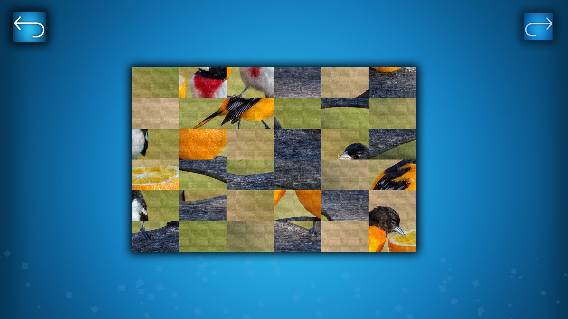 PUZZLE: BIRDS - кадр 4
