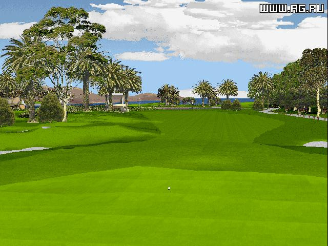 Golf Pro 2000 - кадр 2