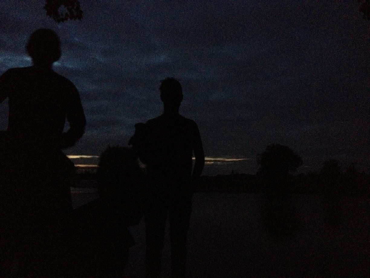 fiddler's island, summer 2016 (itch) - кадр 2