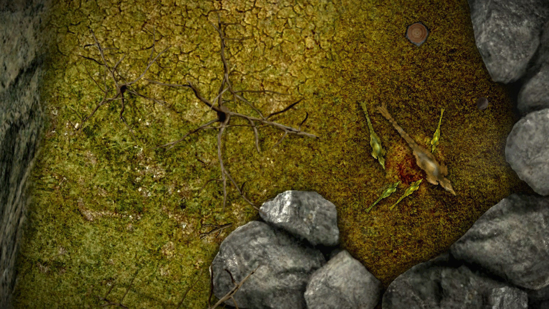 DinoSystem - кадр 12