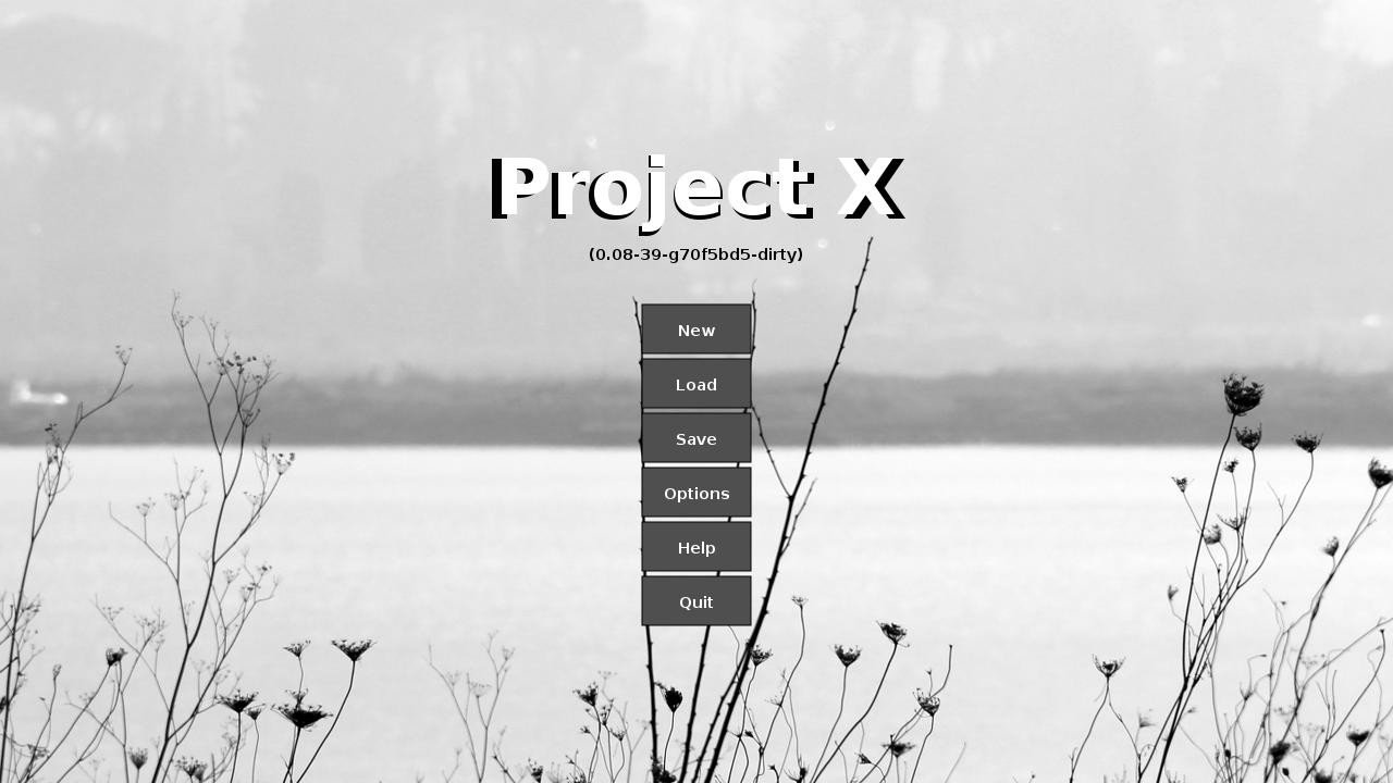 ProjectX - кадр 6