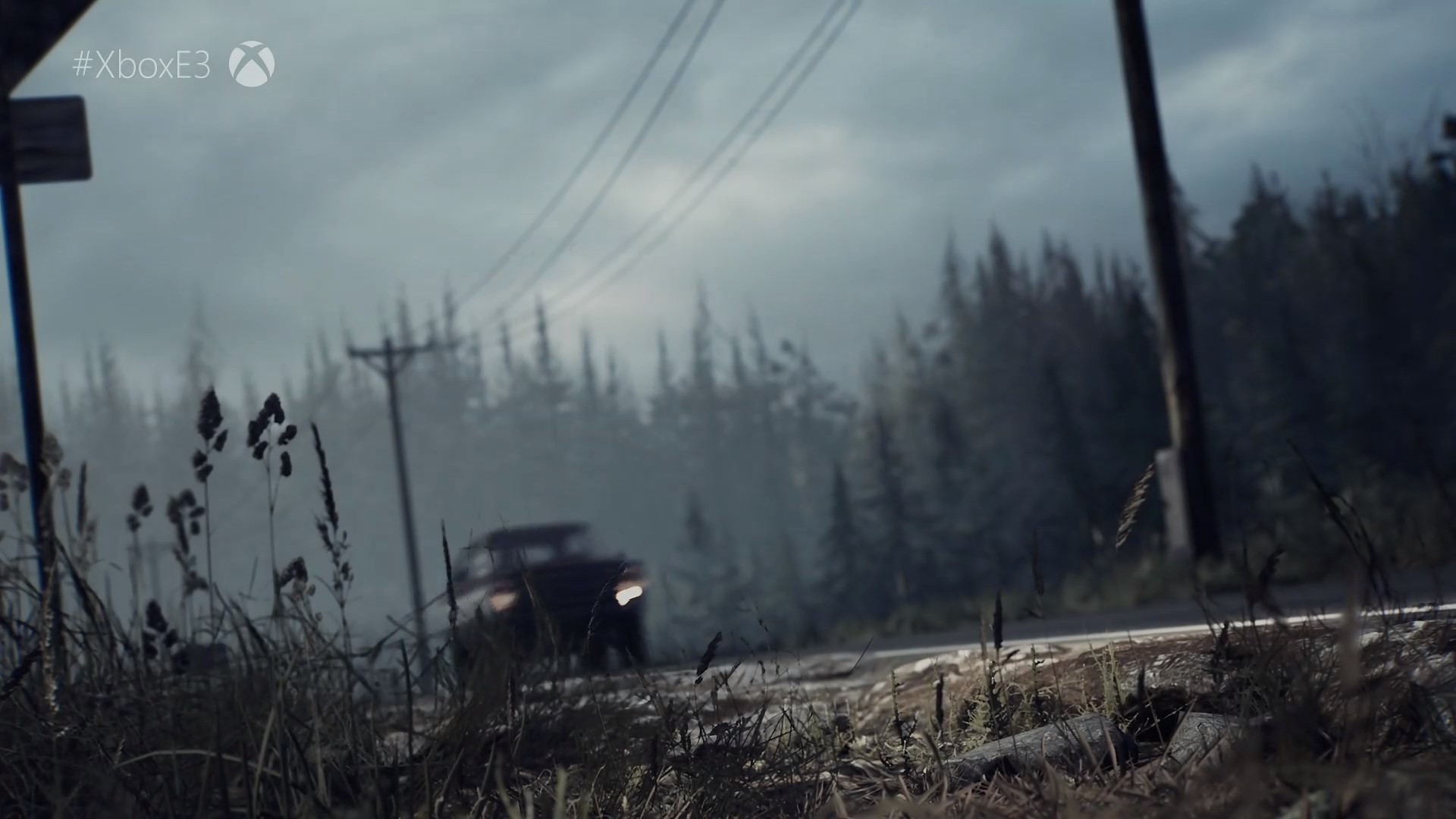 Blair Witch - кадр 6