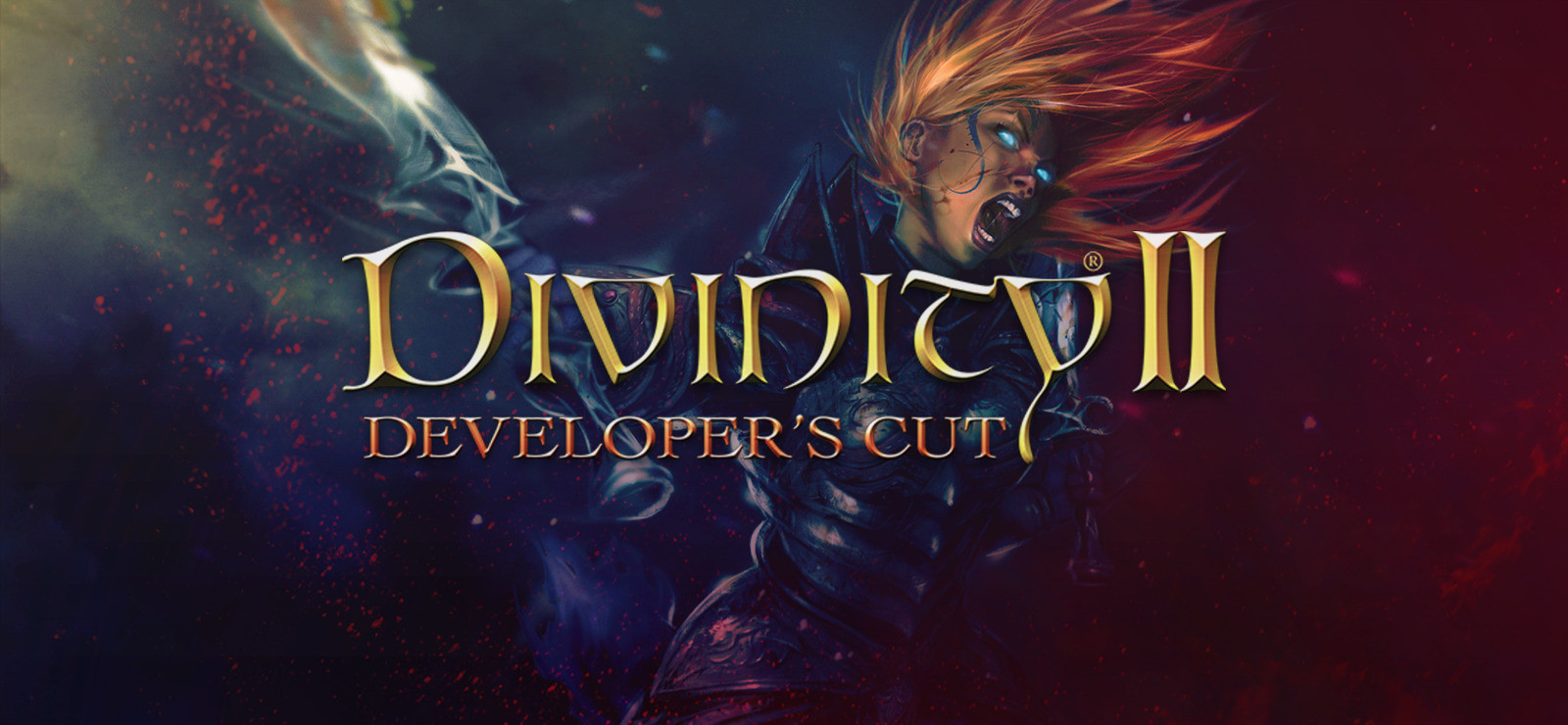 Divinity II: Developer's Cut - кадр 14