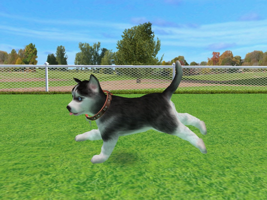 Petz Dogz 2 - кадр 4