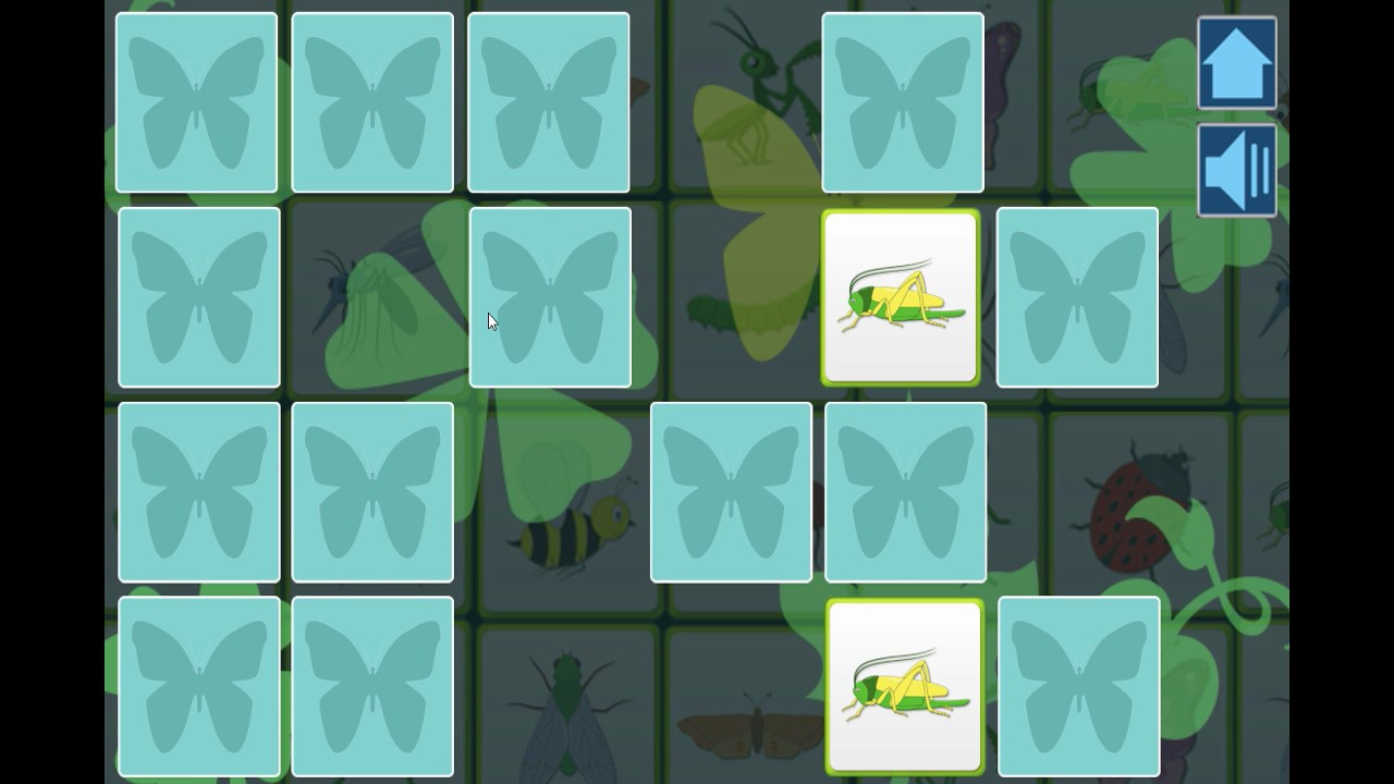 Insects - кадр 4