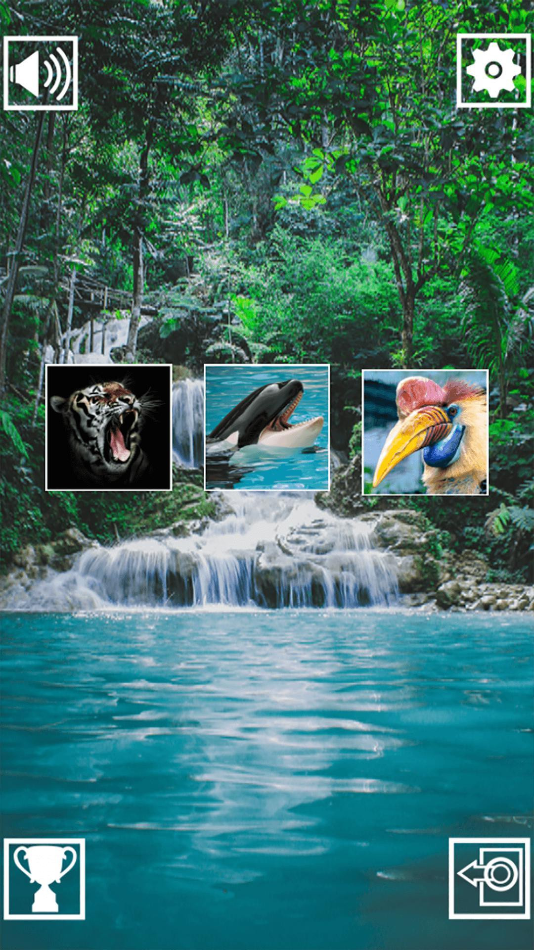 Memory Match Jungle Animals (itch) - кадр 5