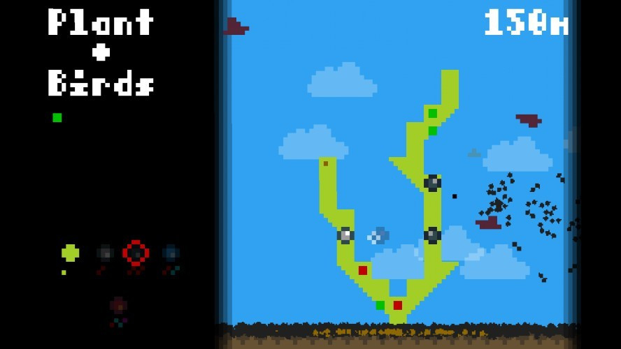 Plant + Birds (itch) - кадр 1