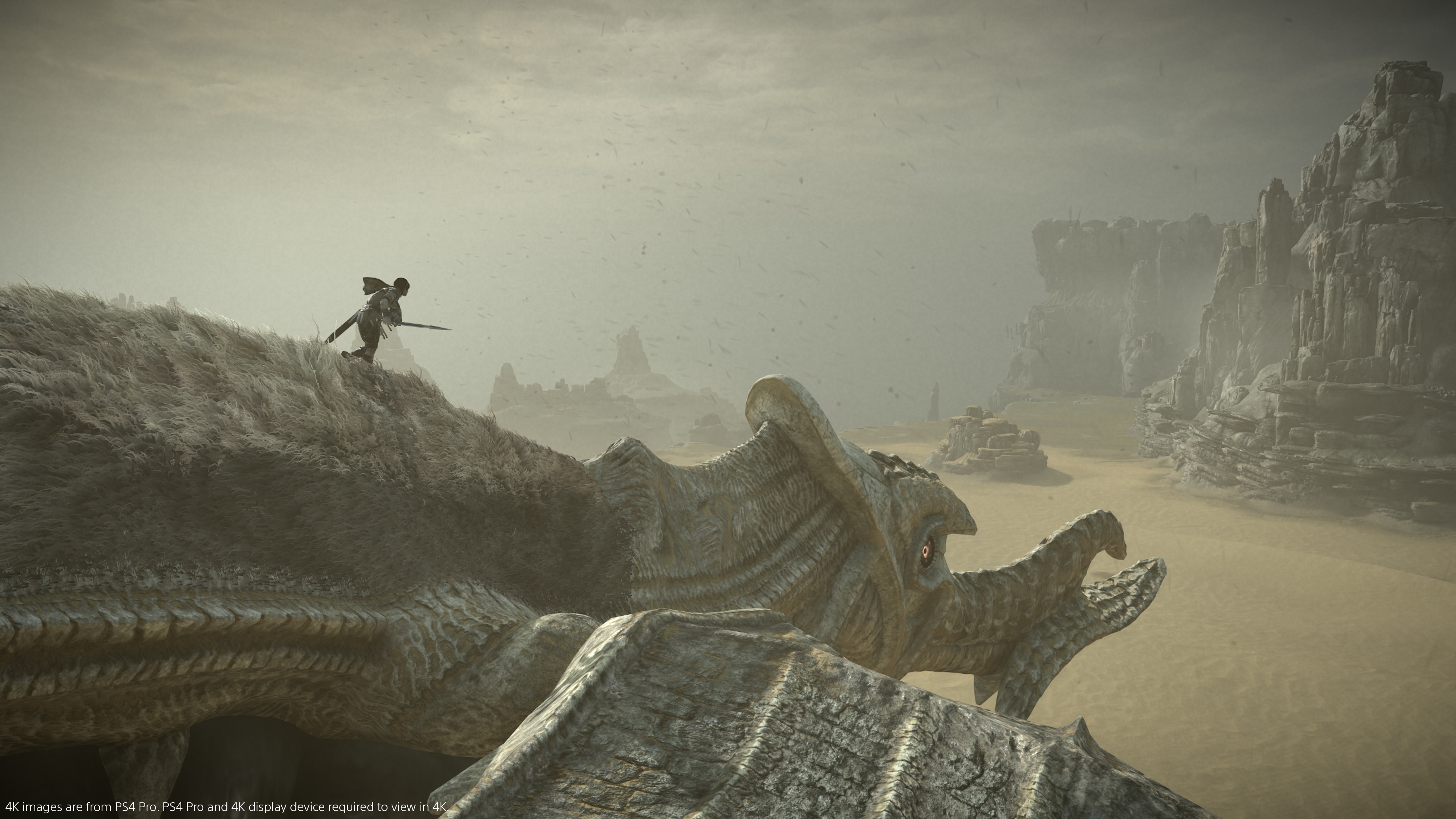 Shadow of the Colossus (2018) - кадр 13