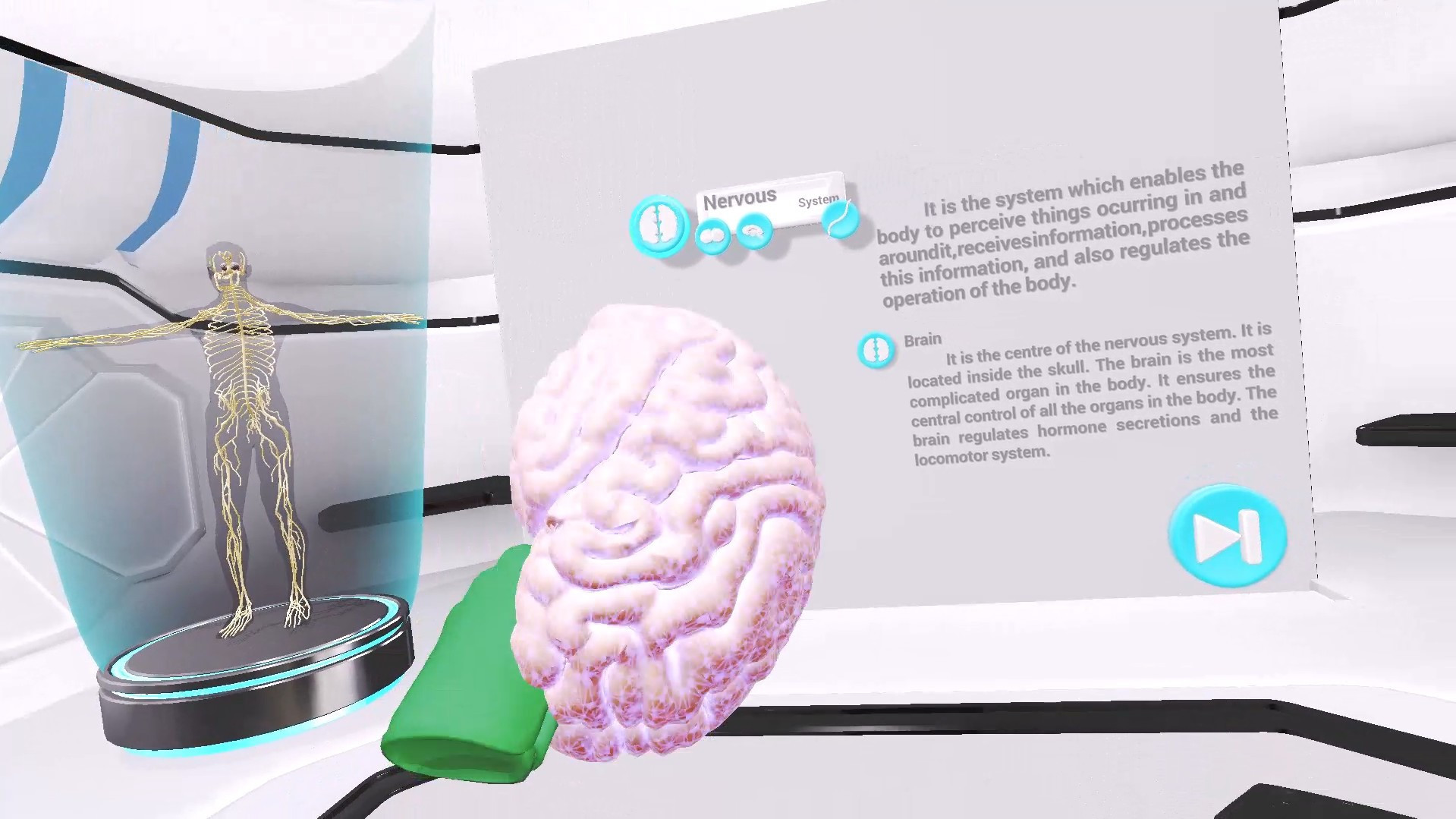 VRLab Academy: Anatomy VR - кадр 4