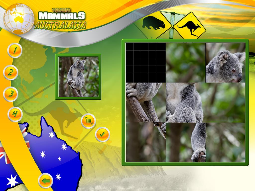 Wildlife Creative Studio - кадр 9