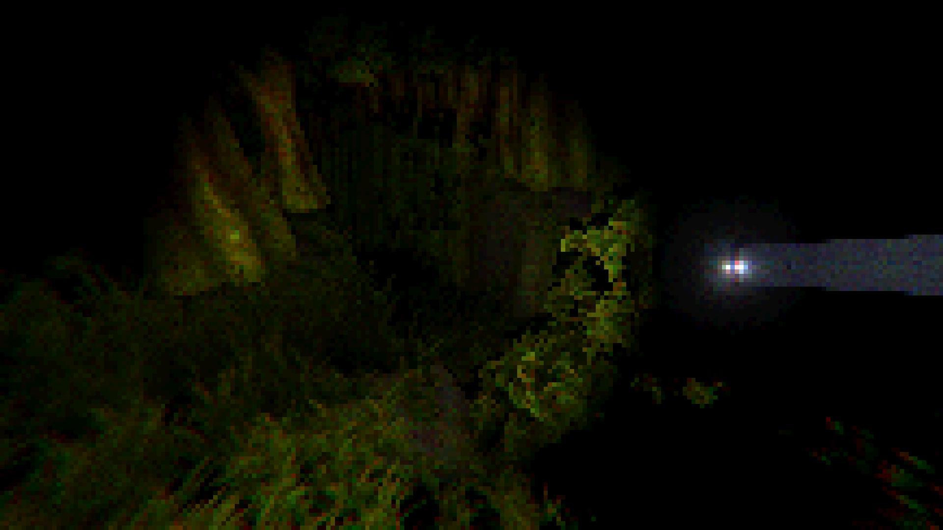 THE FOREST - PSX STYLE (itch) - кадр 13