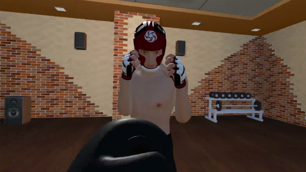 Fight Sparring VR - кадр 4