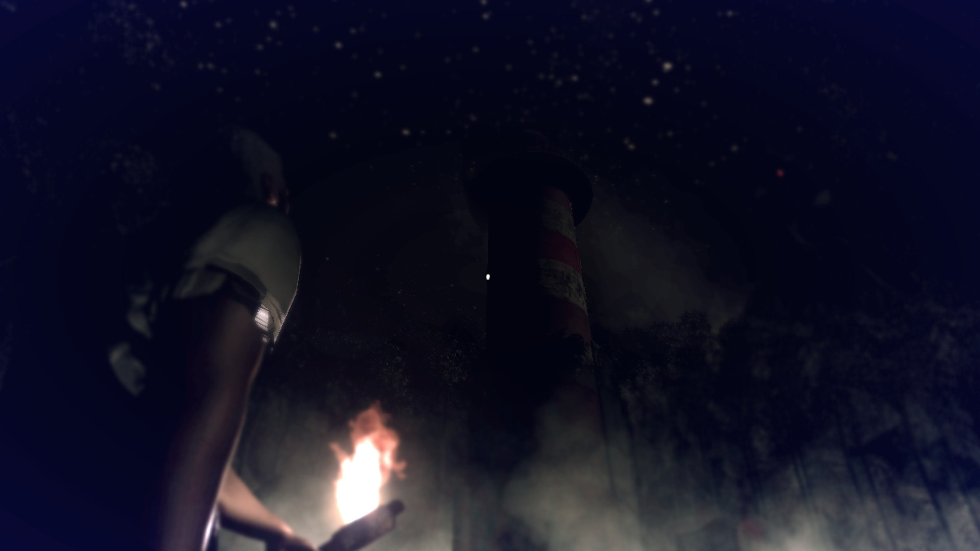 Nightmare at the lighthouse - кадр 3