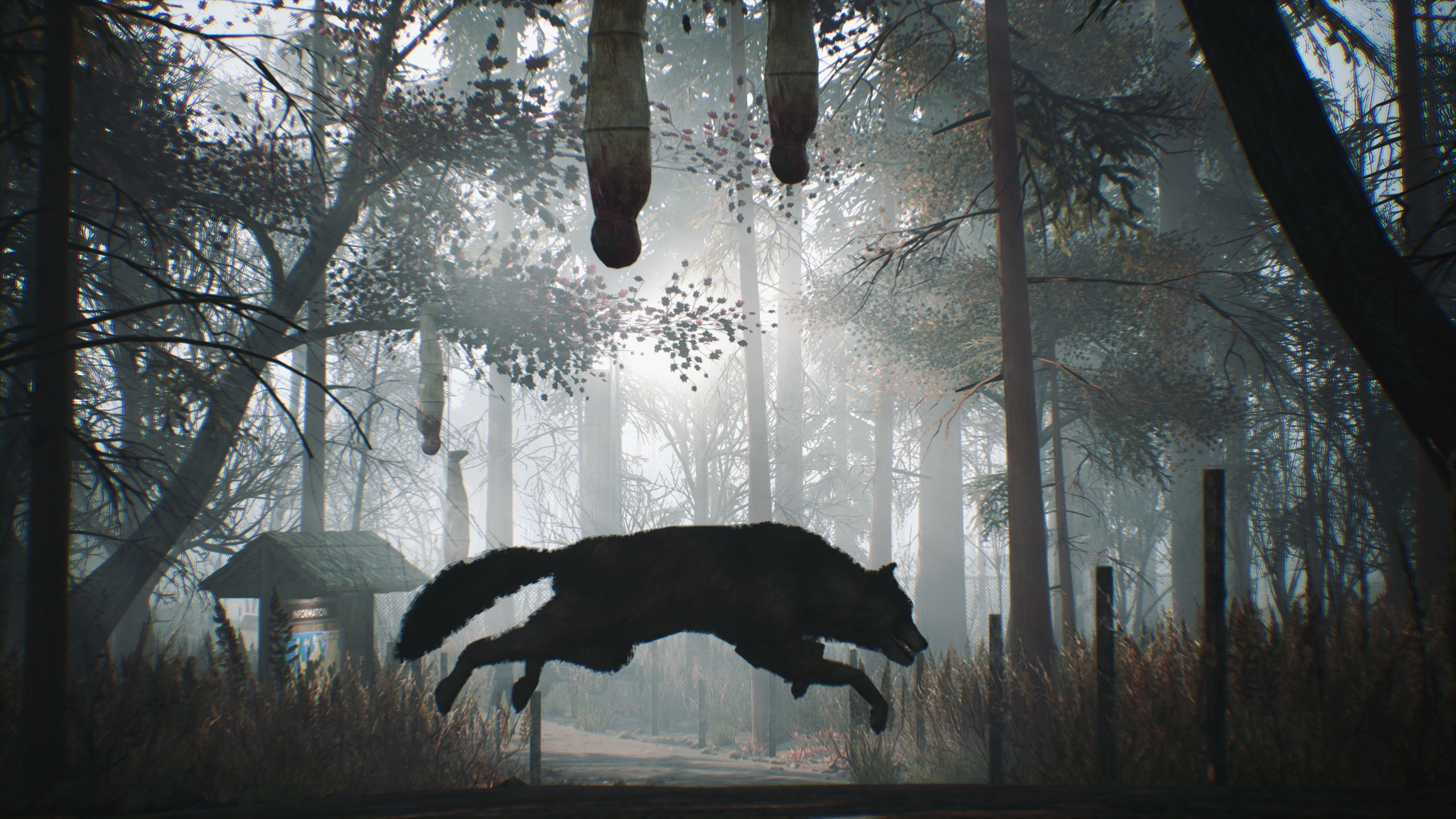 Hide Or Die - кадр 11