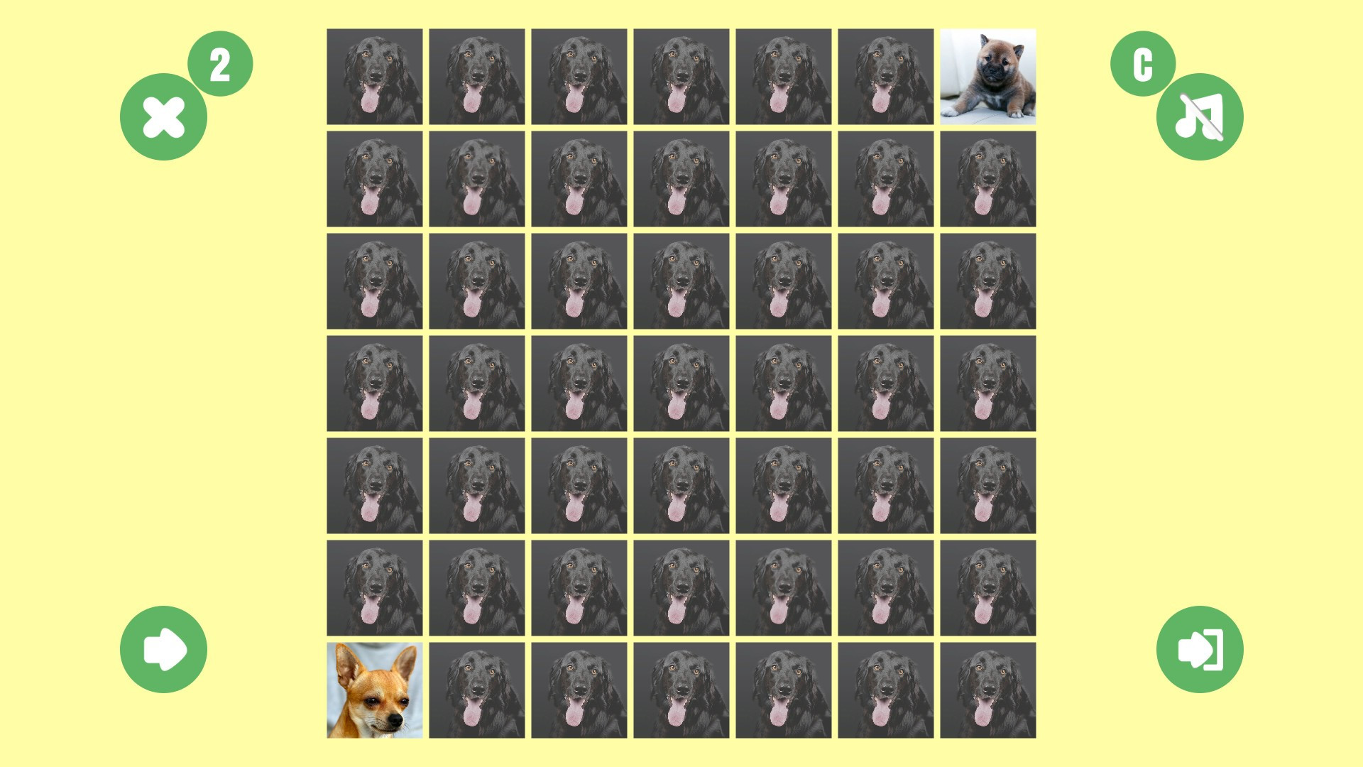 Dog couple - кадр 4
