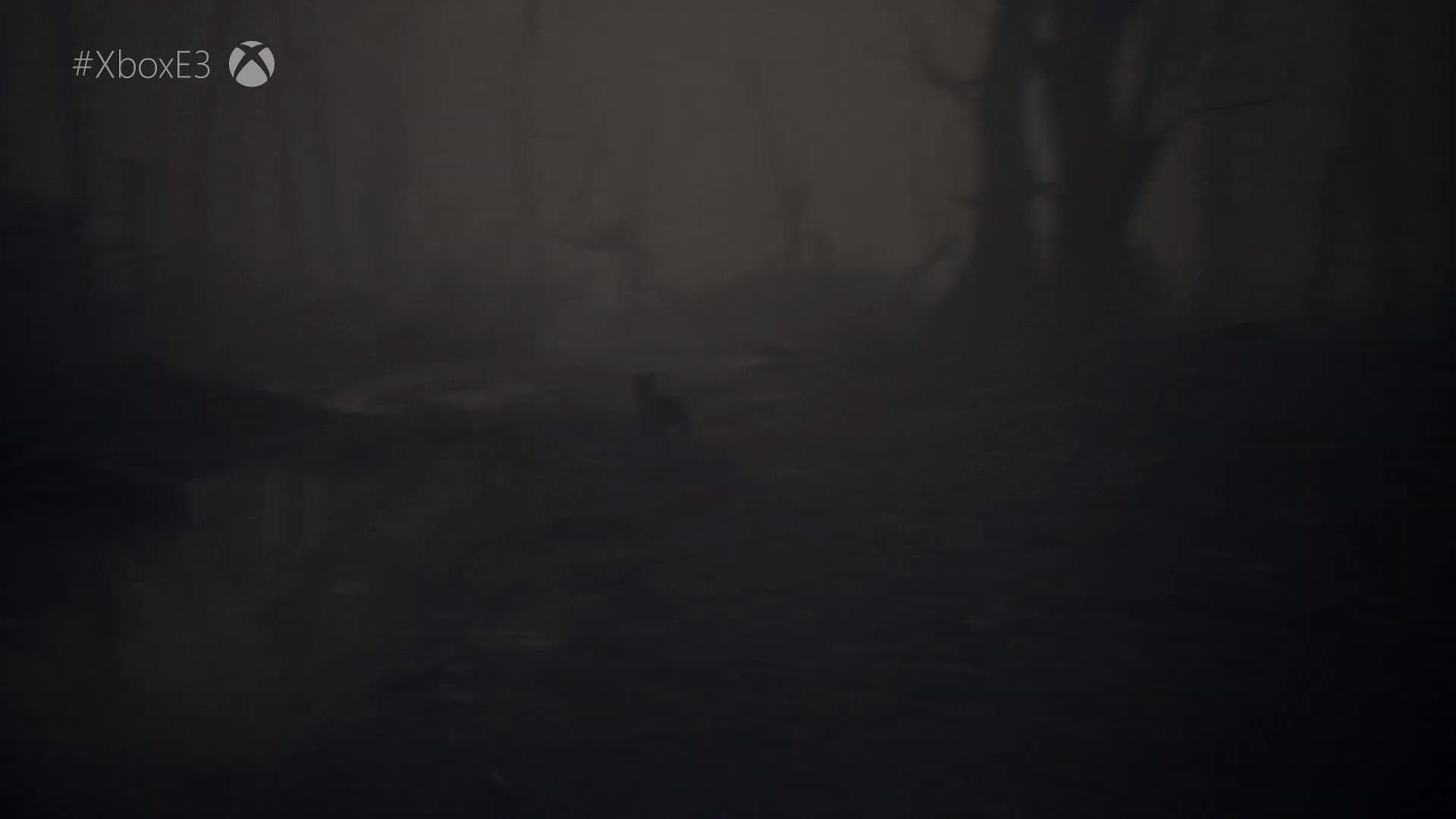 Blair Witch - кадр 7