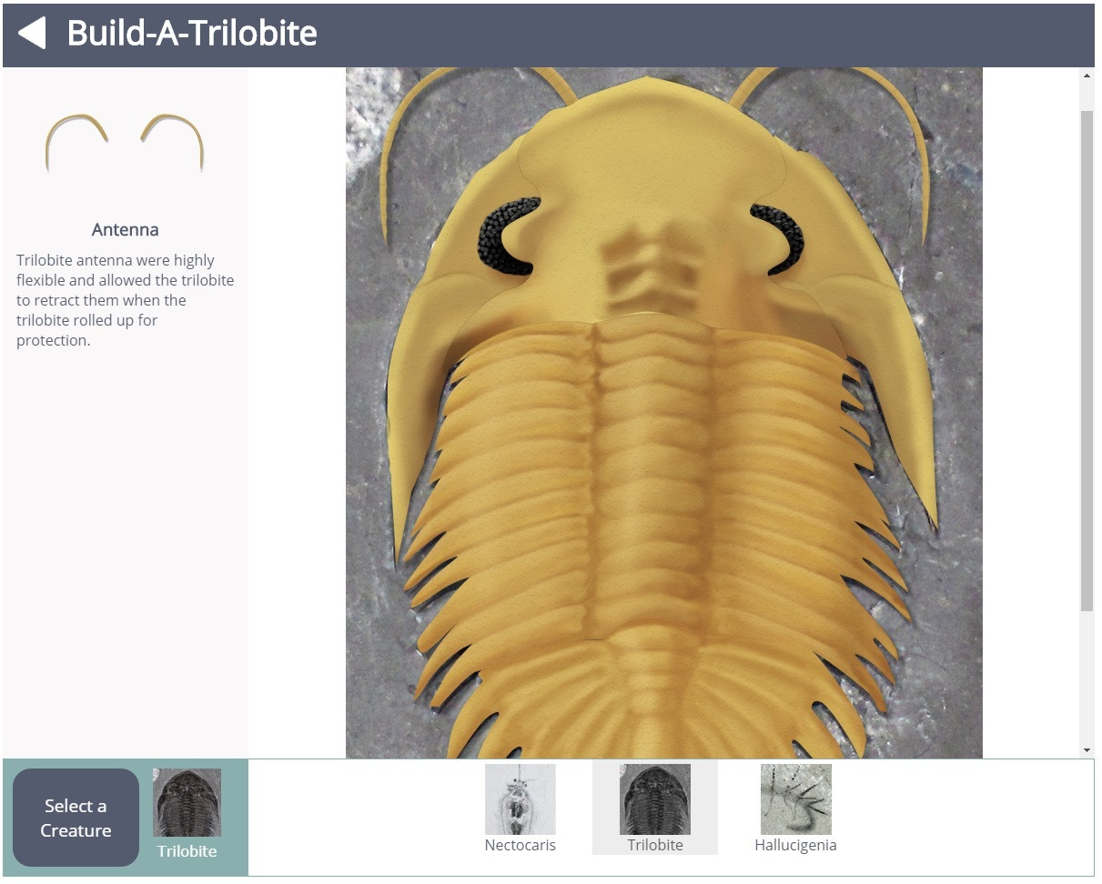 Cambrian Creature Creator (itch) - кадр 1
