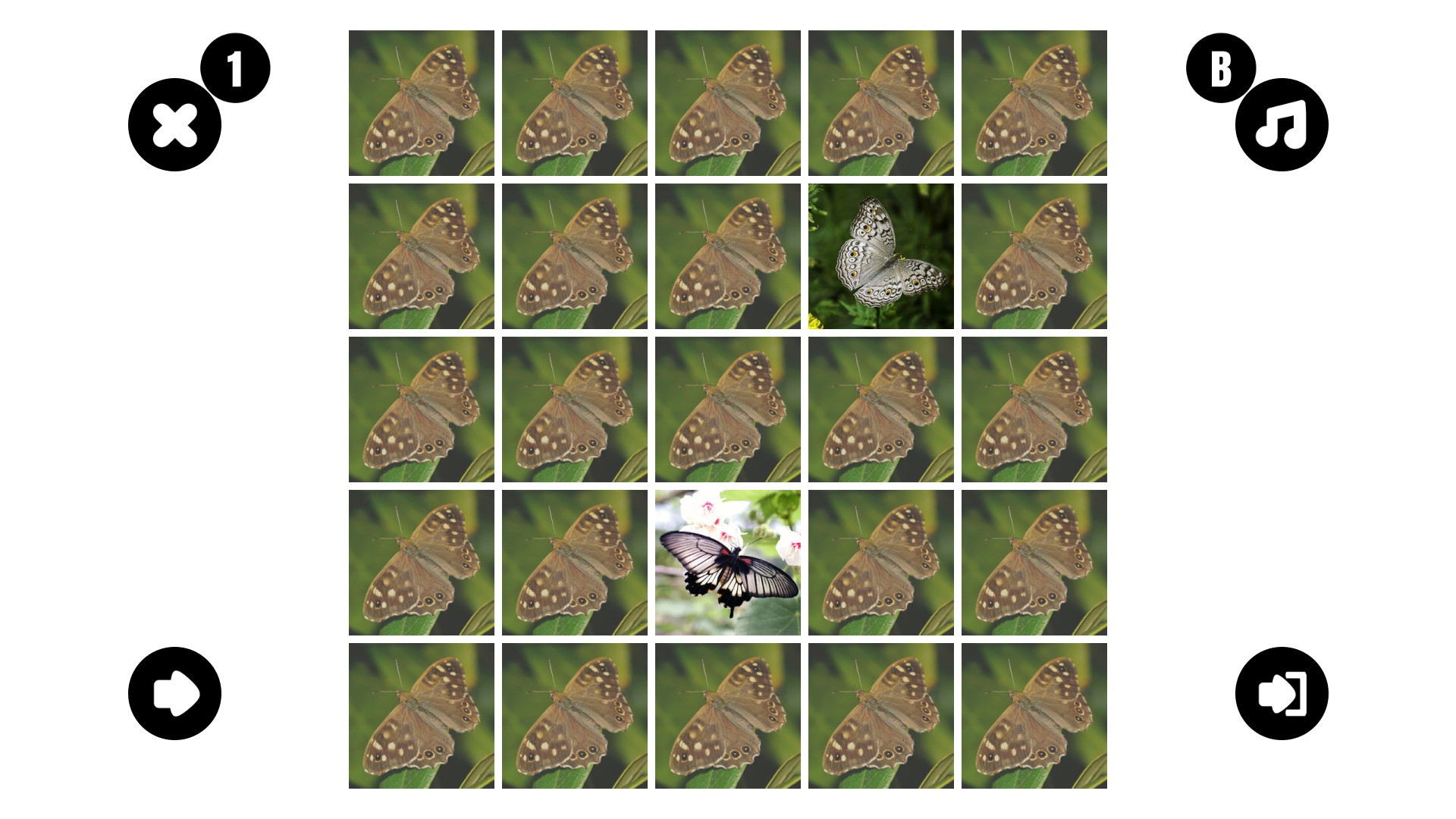 Butterfly couple - кадр 3