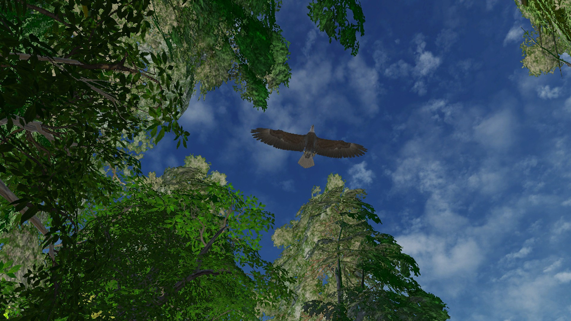 Safari Grounds - The Wilpattu Leopard - кадр 3