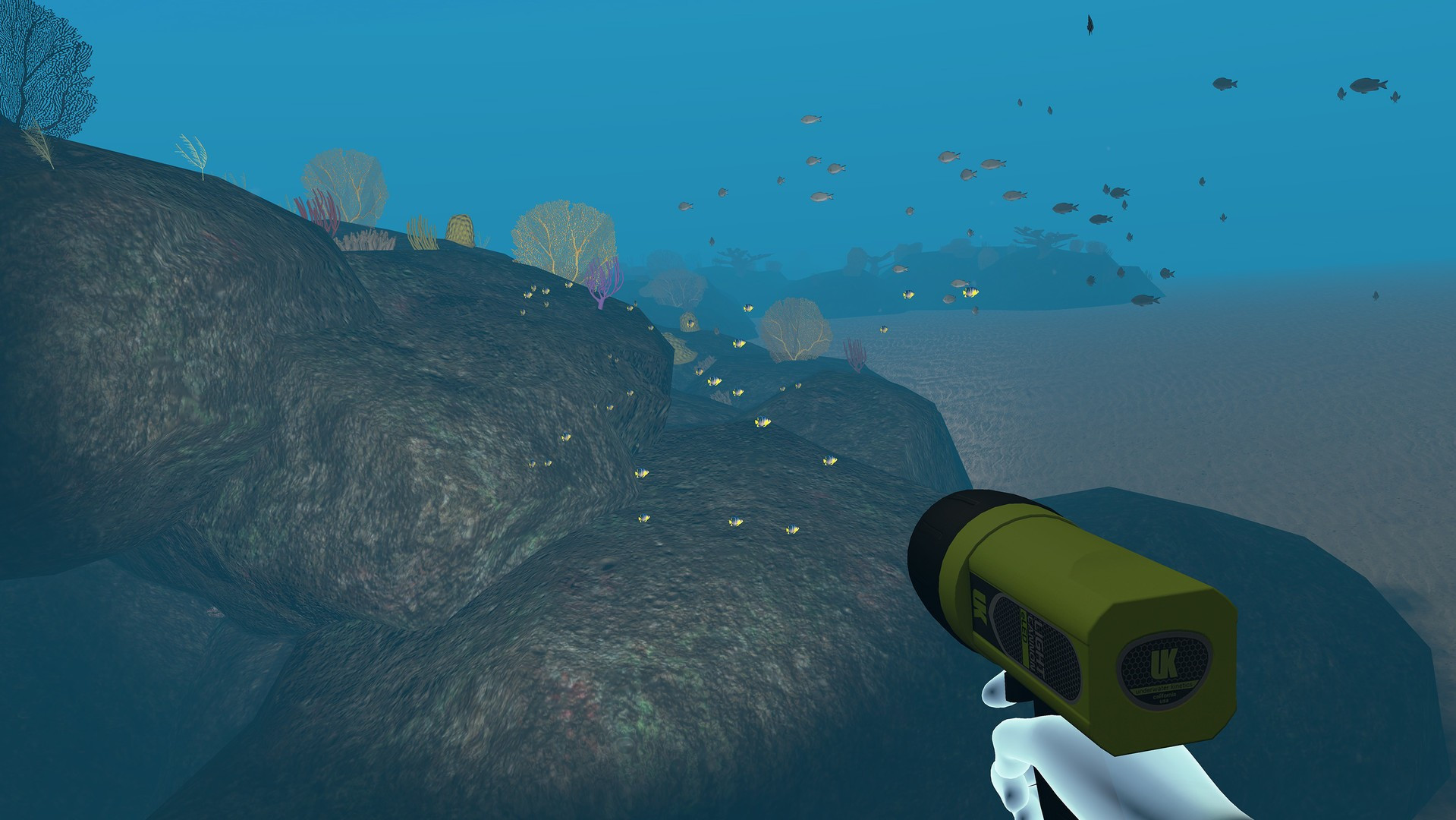 Dive with Sylvia VR - кадр 12