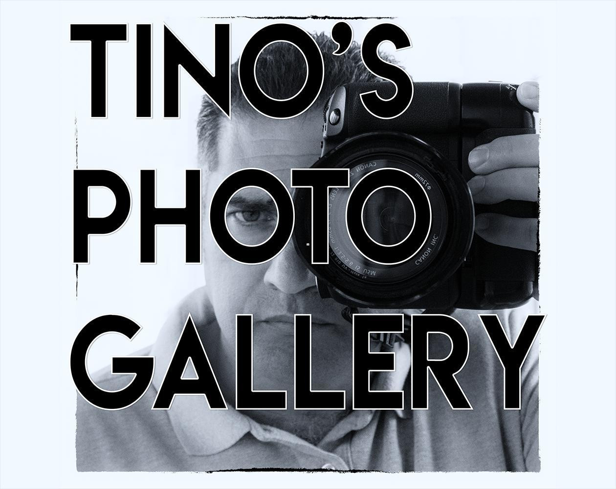 tino's photo gallery (itch) - кадр 1