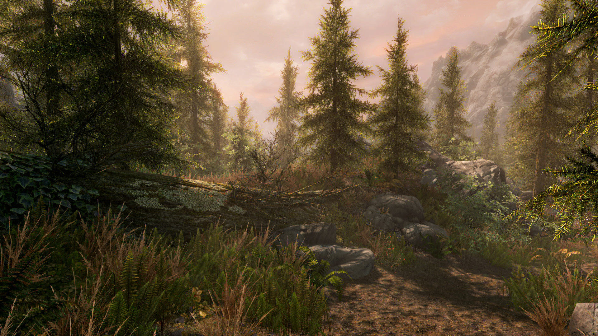 The Elder Scrolls V: Skyrim Special Edition - кадр 6
