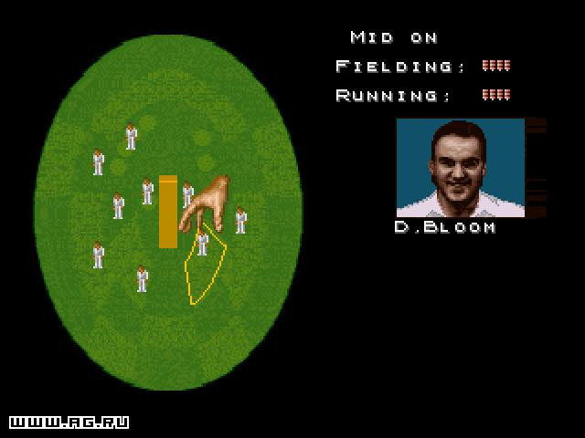 Cricket '96 - кадр 4