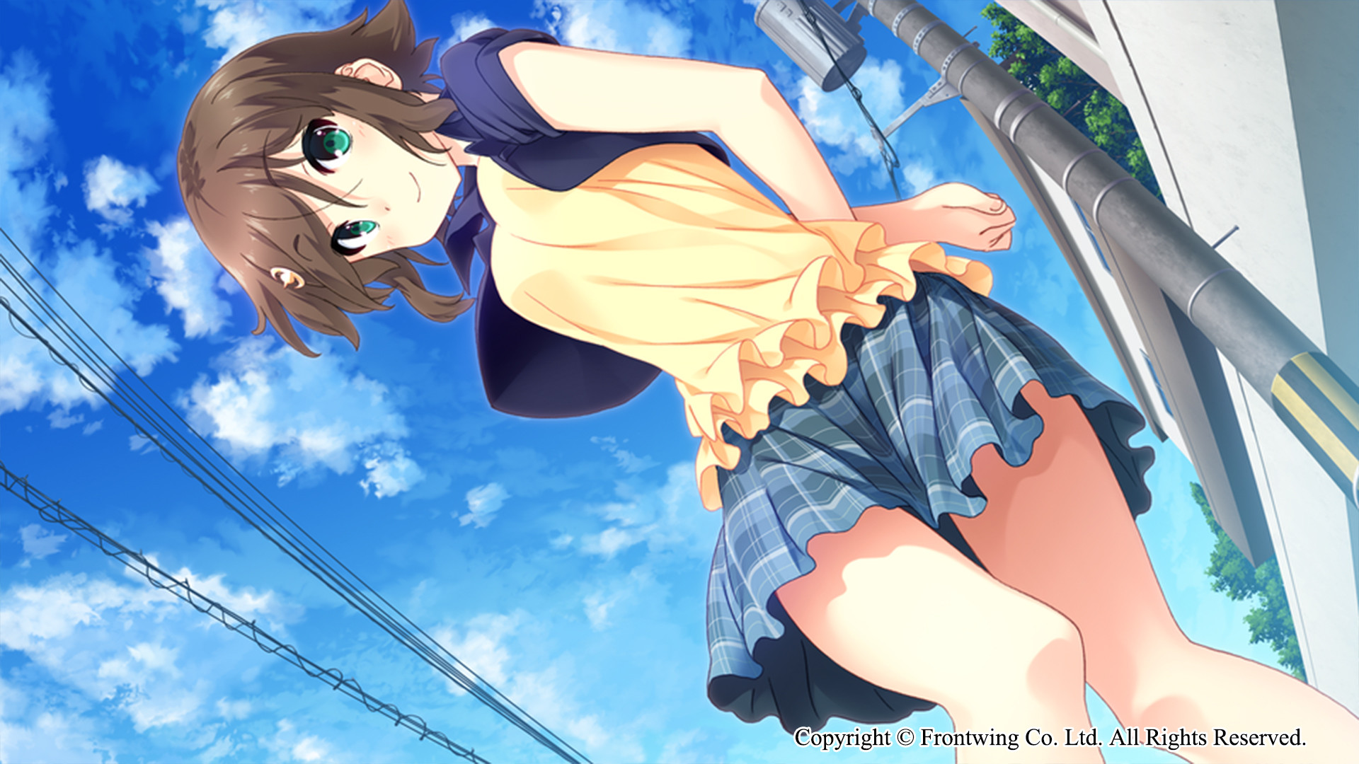 Himawari - The Sunflower - кадр 6