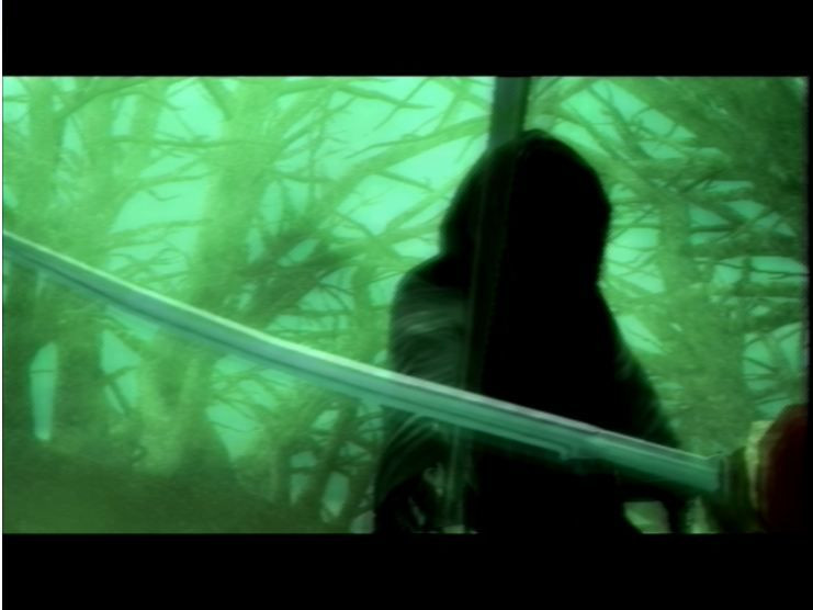 The Lord of the Rings: The Third Age - кадр 5