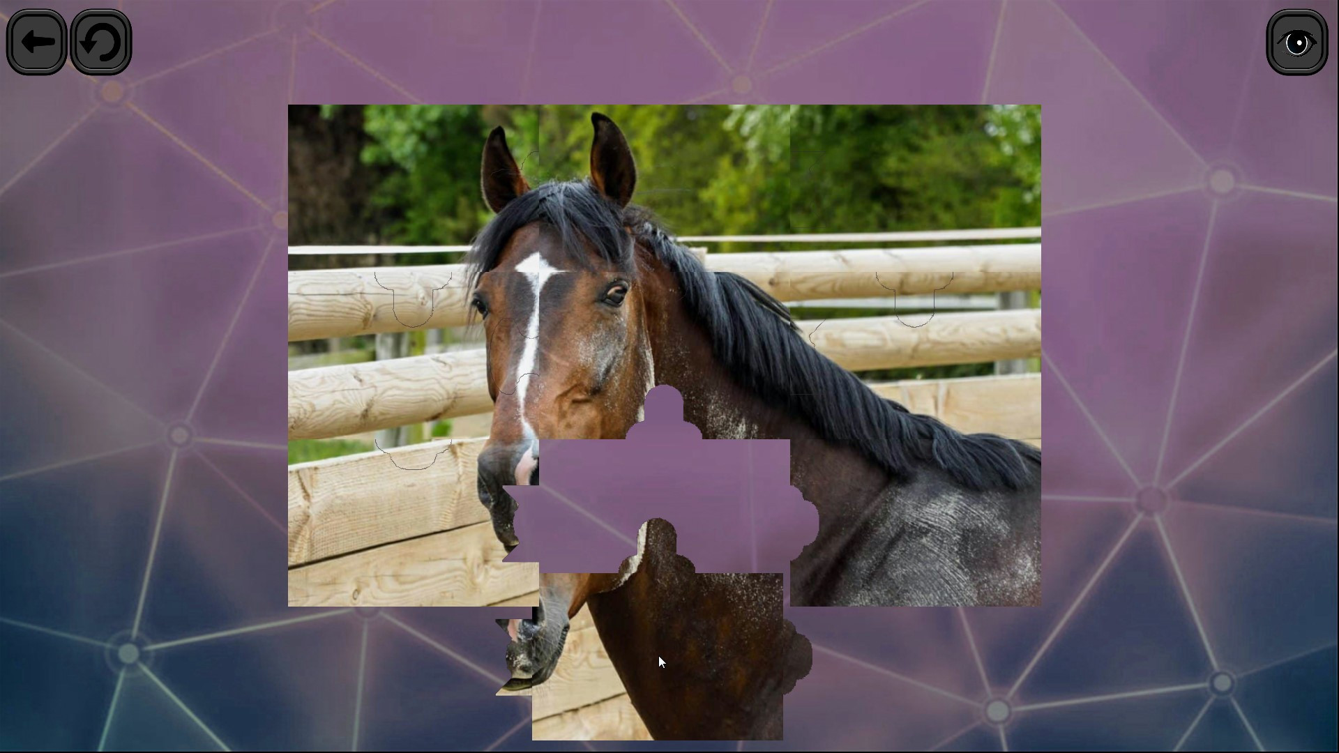 Puzzles for smart: Horses - кадр 5