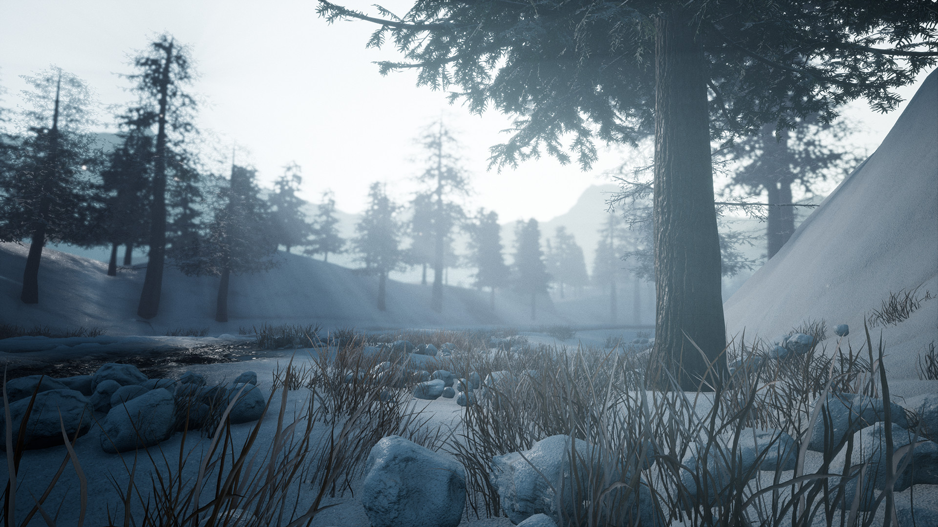 Forgotten Land - кадр 8
