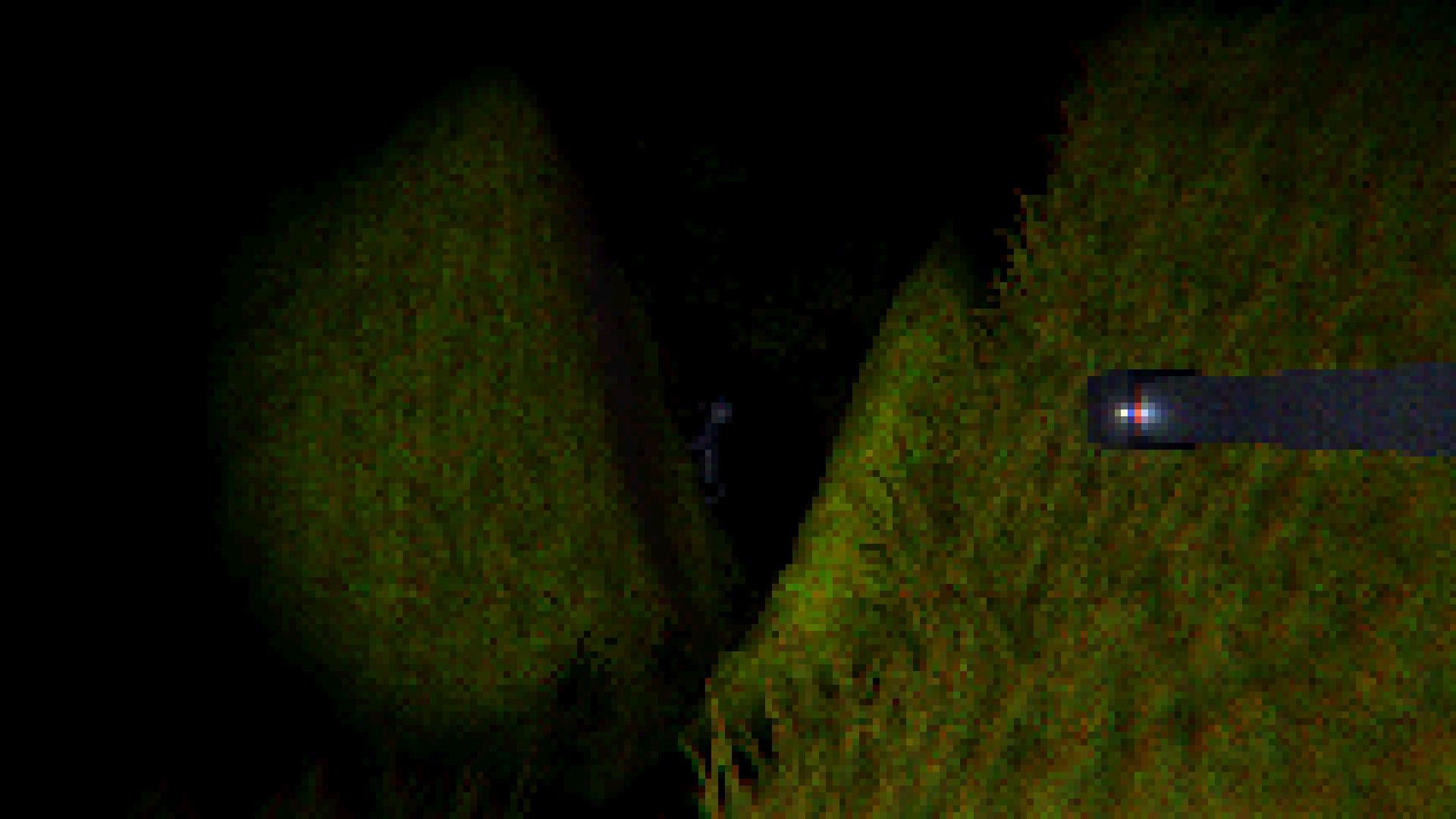THE FOREST - PSX STYLE (GamerARTS) (itch) - кадр 6