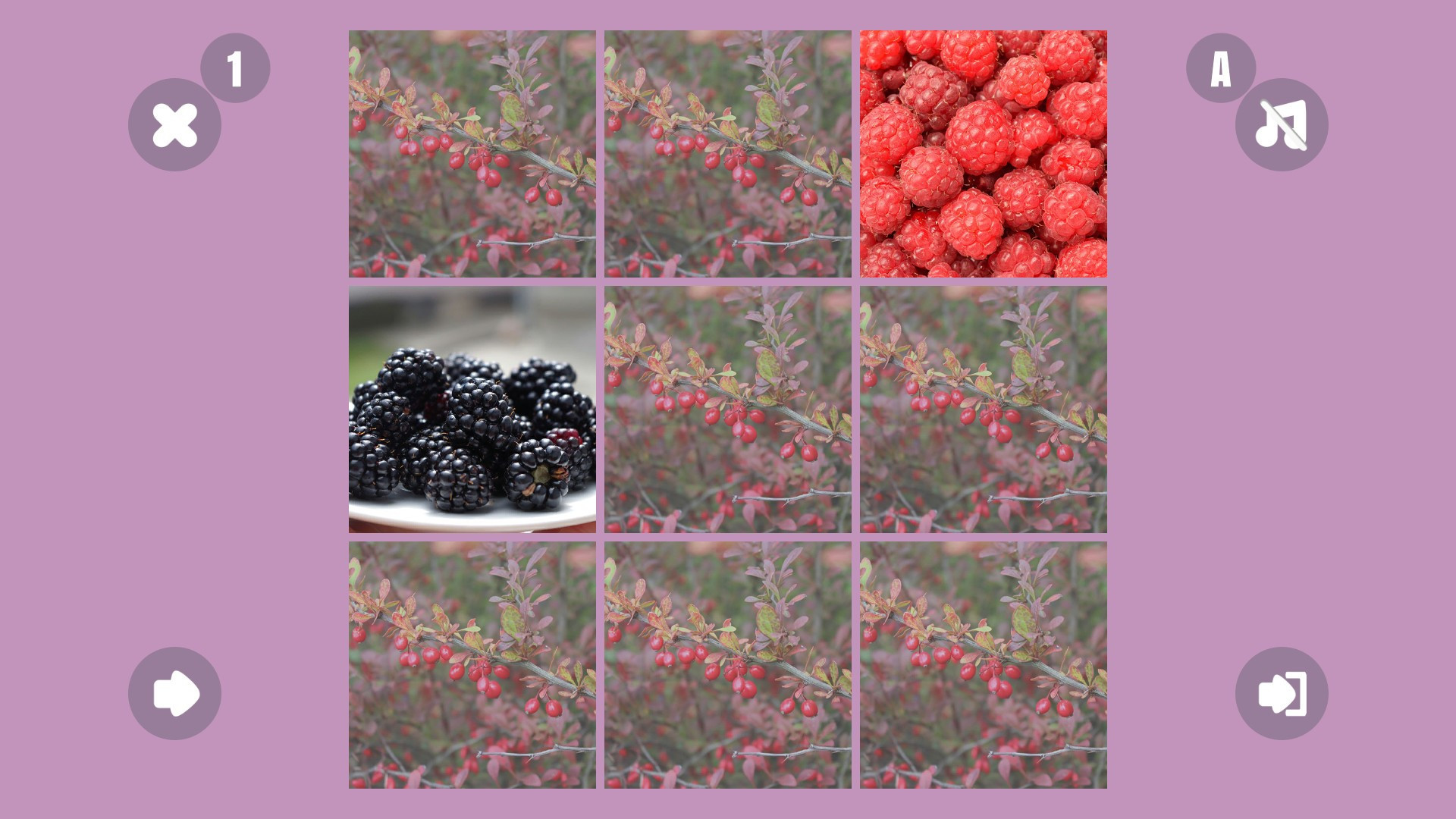 Berry couple - кадр 4