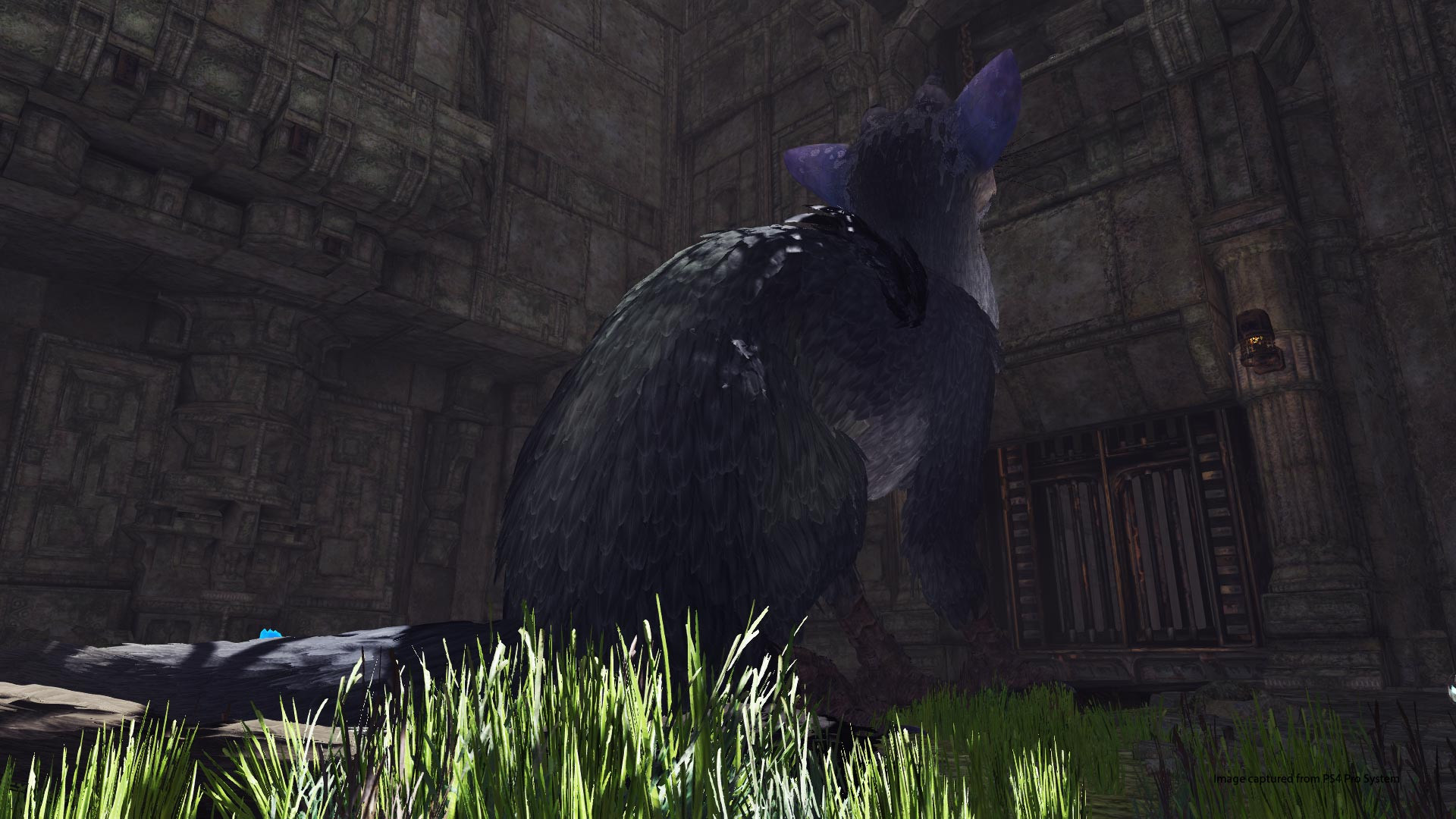 The Last Guardian VR Demo - кадр 7