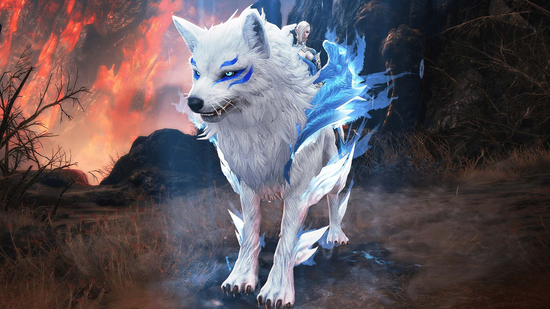 TERA: Founder’s Pack Deluxe - кадр 10