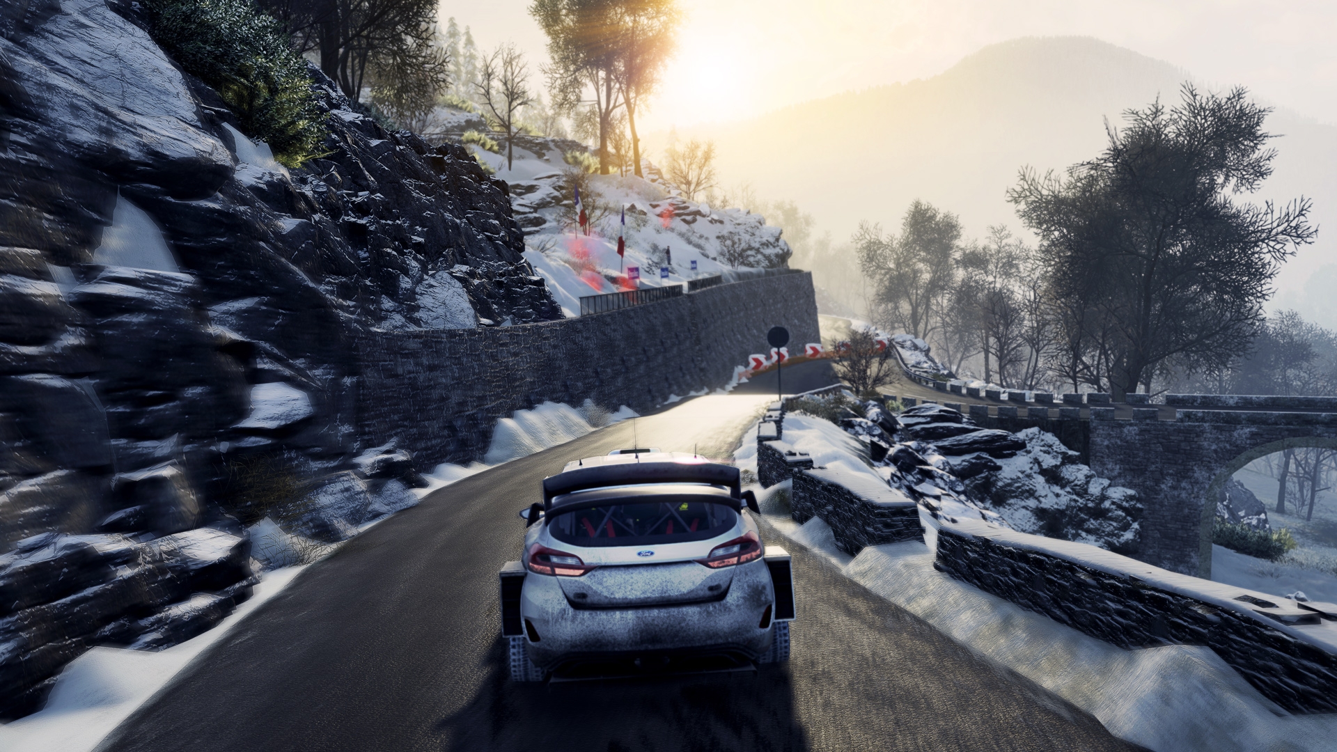 WRC 8 - кадр 4