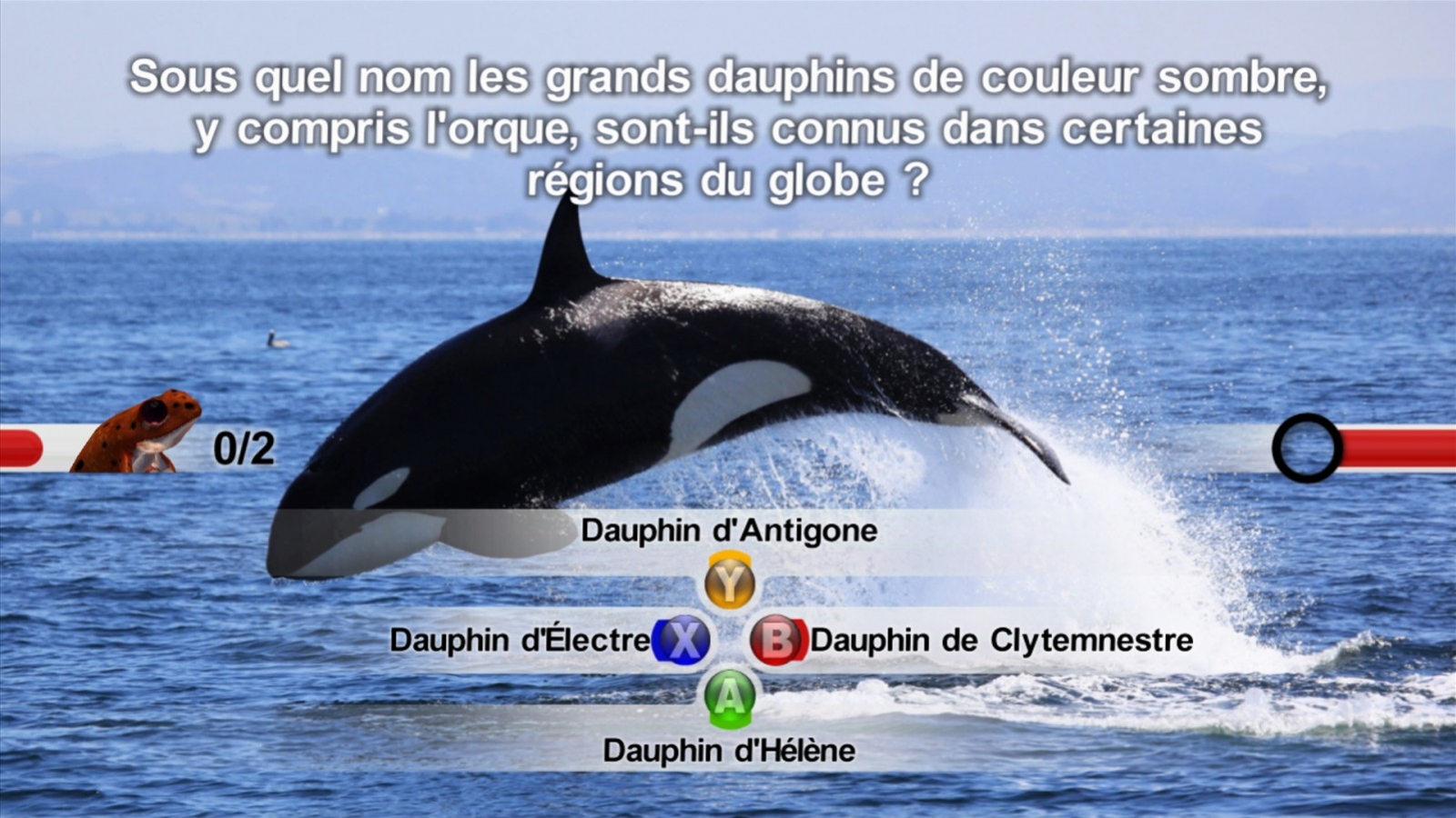 NatGeo Quiz! Wild Life - кадр 2