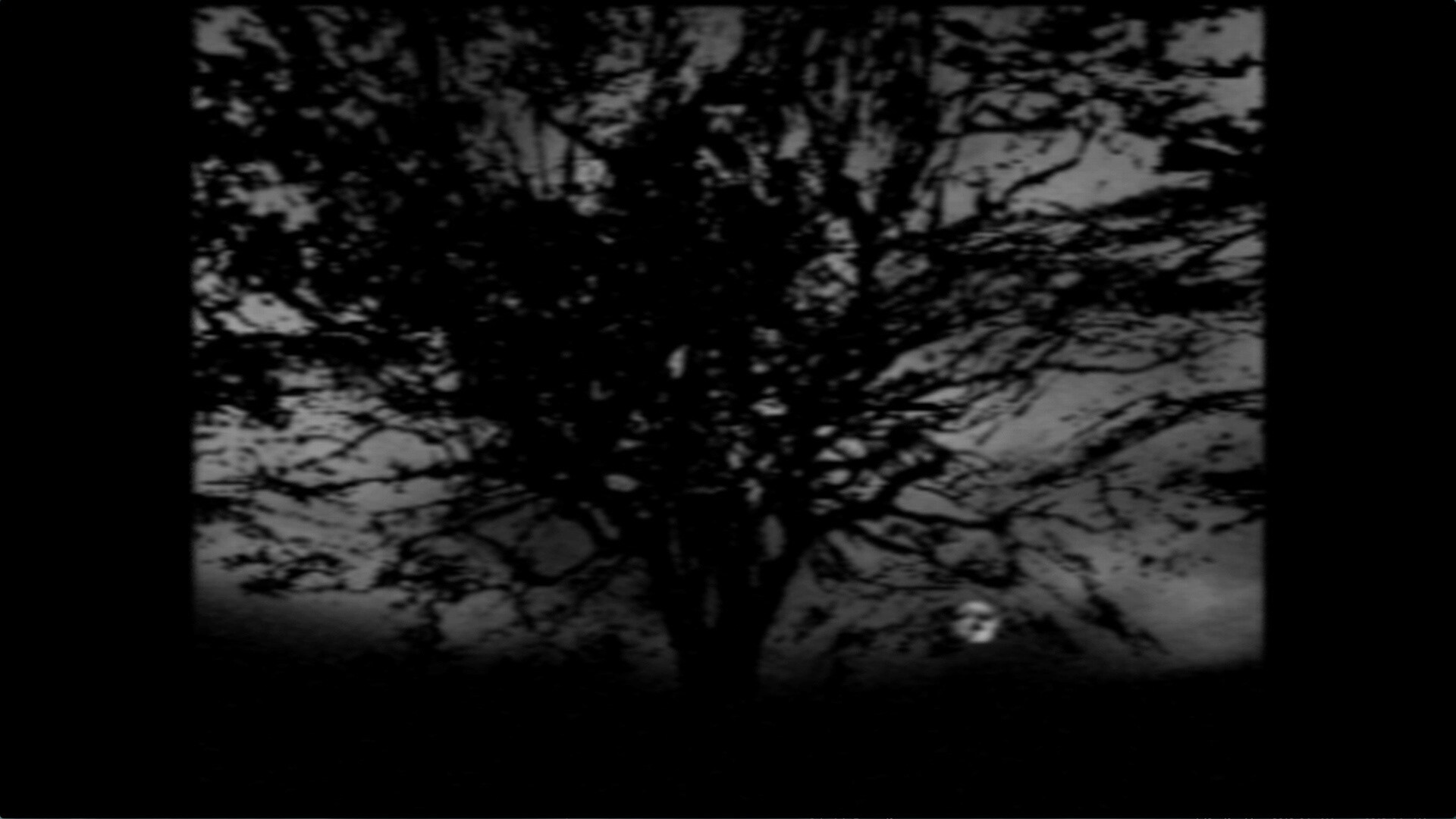 The Night Journey - кадр 8