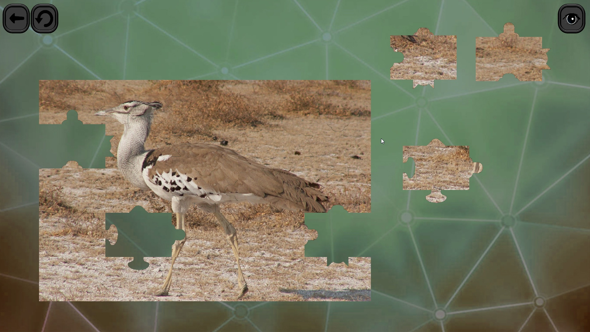 Puzzles for smart: Birds - кадр 5
