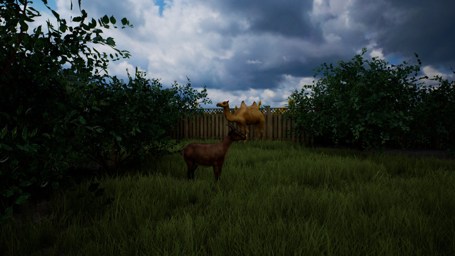 Country Road VR - кадр 5