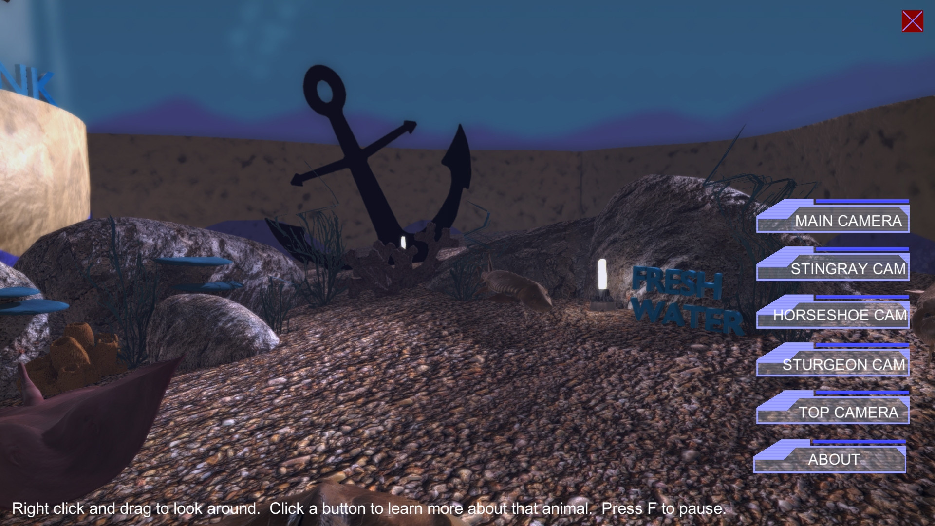 Virtual Aquarium (Discovery World Touch Tank) (itch) - кадр 5