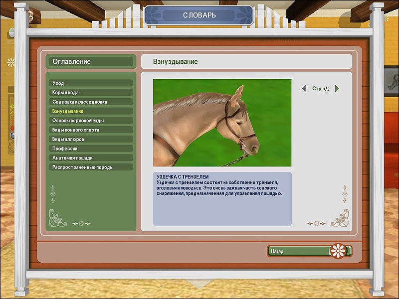 Pferd & Pony: Lass uns reiten 2 - кадр 10