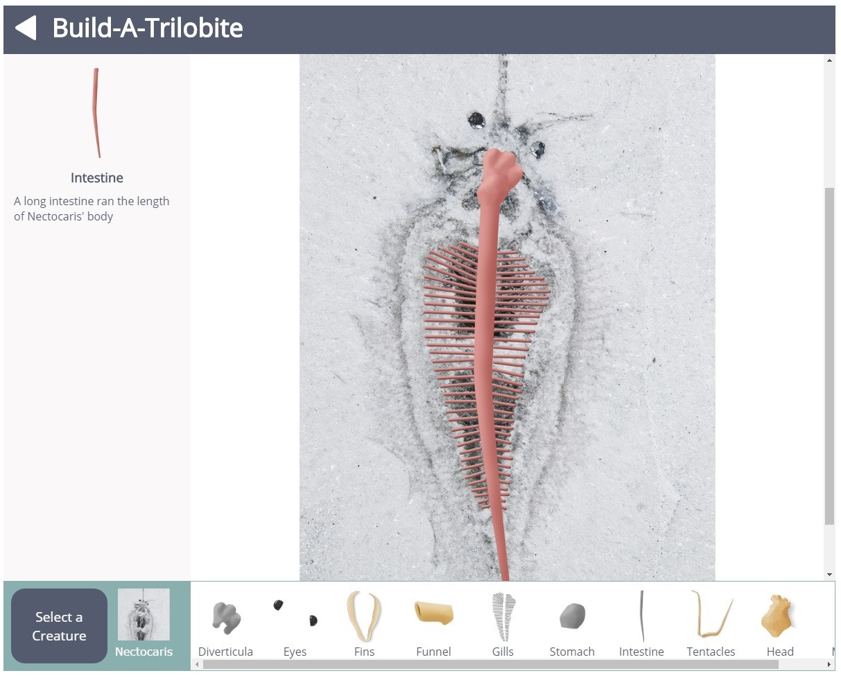 Cambrian Creature Creator (itch) - кадр 2